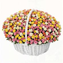 Премиум букет из: Розы в Челно-Вершины