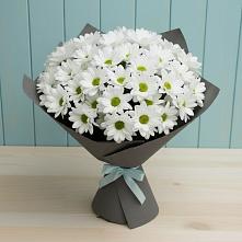 Букет цветов из:  Хризантемы #REPLACE_PRED# Челно-Вершины