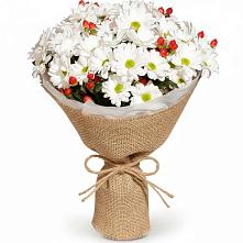 Букет цветов из:  Хризантемы #REPLACE_PRED# Челно-Вершины