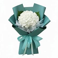Букет цветов из:  Гортензия в Челно-Вершины